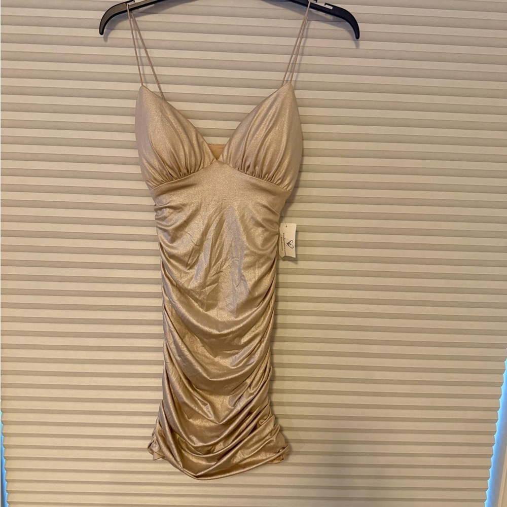 NWT Shimmering Gold Nude Dress, sz small Windsor
